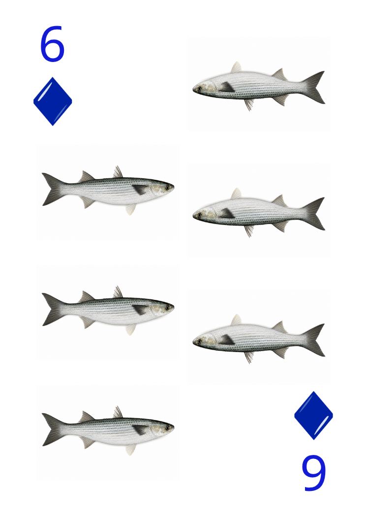 Carte Animaux Sauvages 19