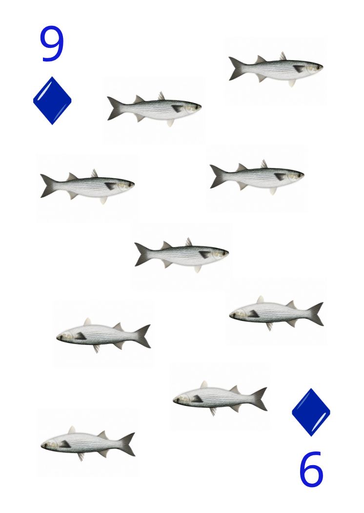Carte Animaux Sauvages 22