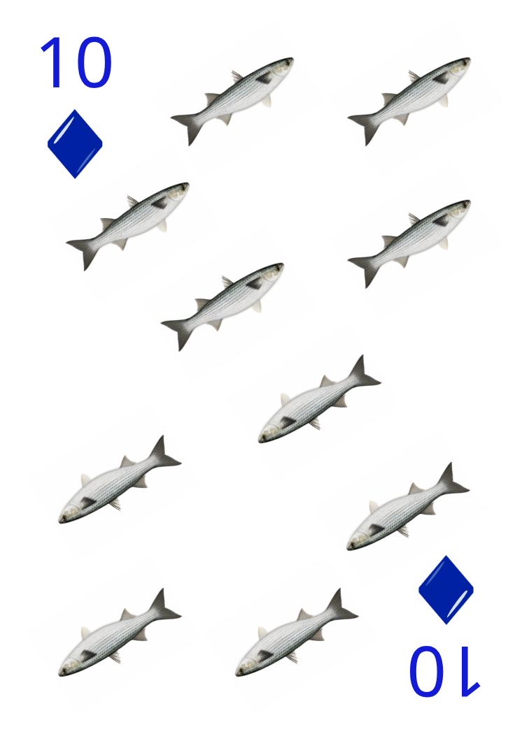 Carte Animaux Sauvages 23