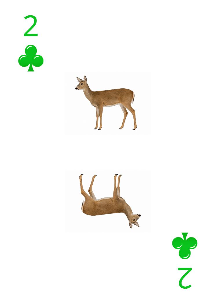 Carte Animaux Sauvages 28