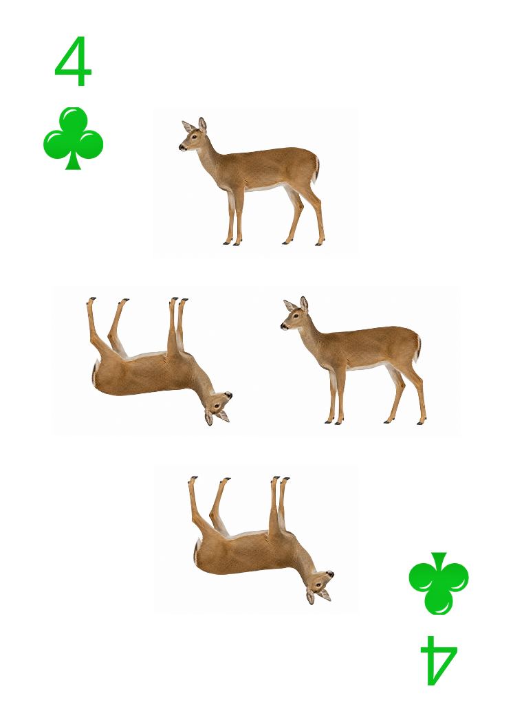 Carte Animaux Sauvages 30