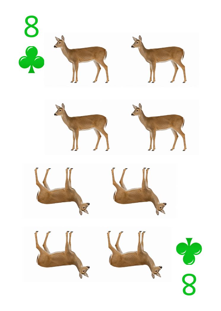 Carte Animaux Sauvages 34