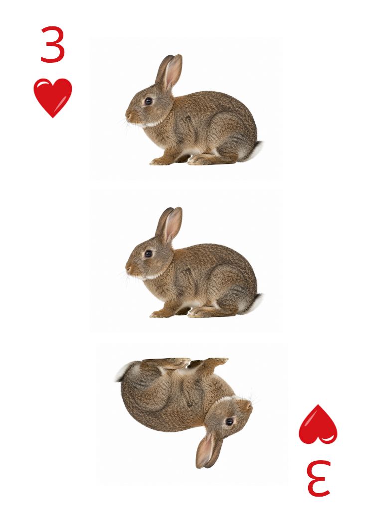Carte Animaux Sauvages 42