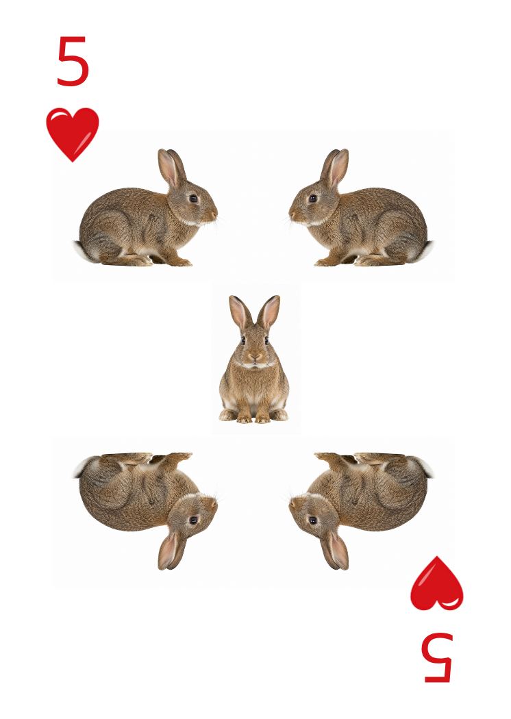 Carte Animaux Sauvages 44