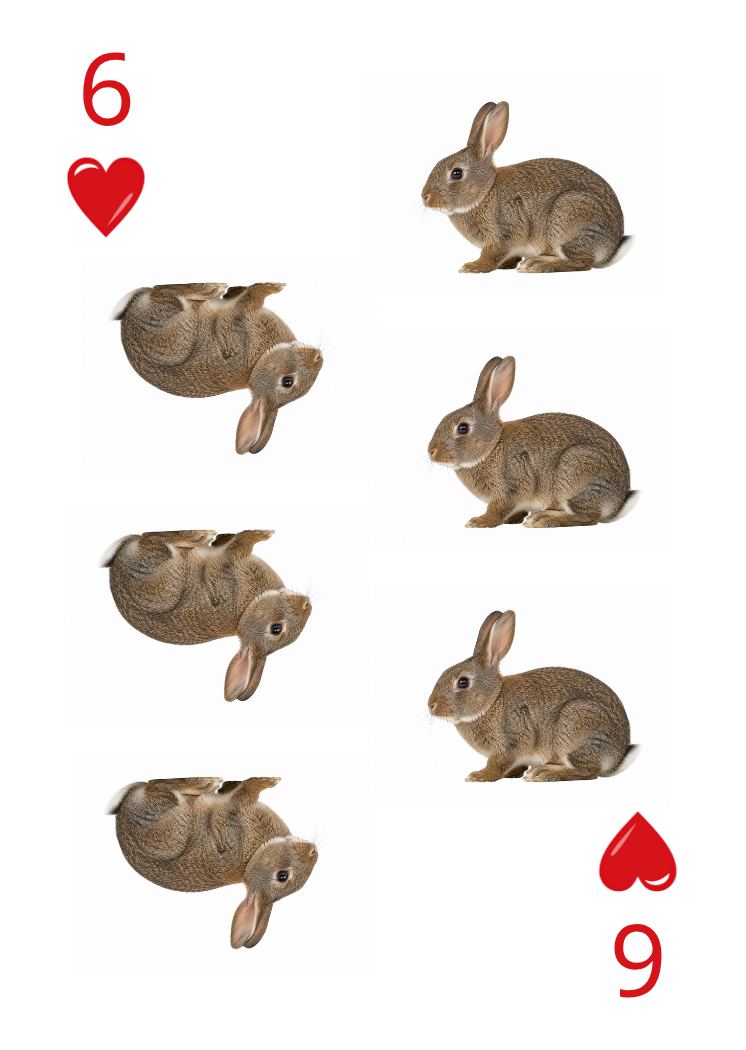 Carte Animaux Sauvages 45