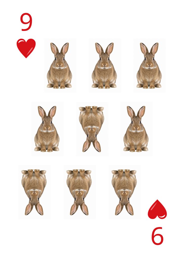 Carte Animaux Sauvages 48