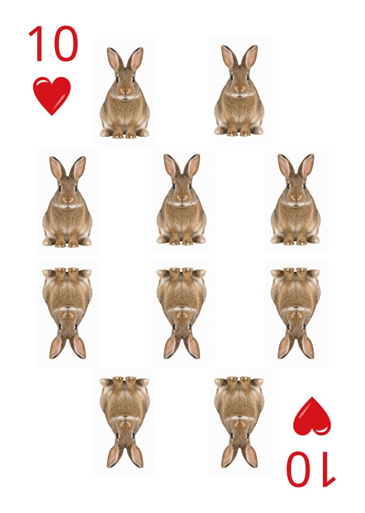 Carte Animaux Sauvages 49