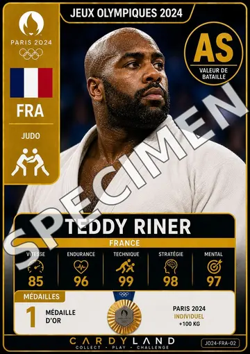 Aperçu Teddy Riner